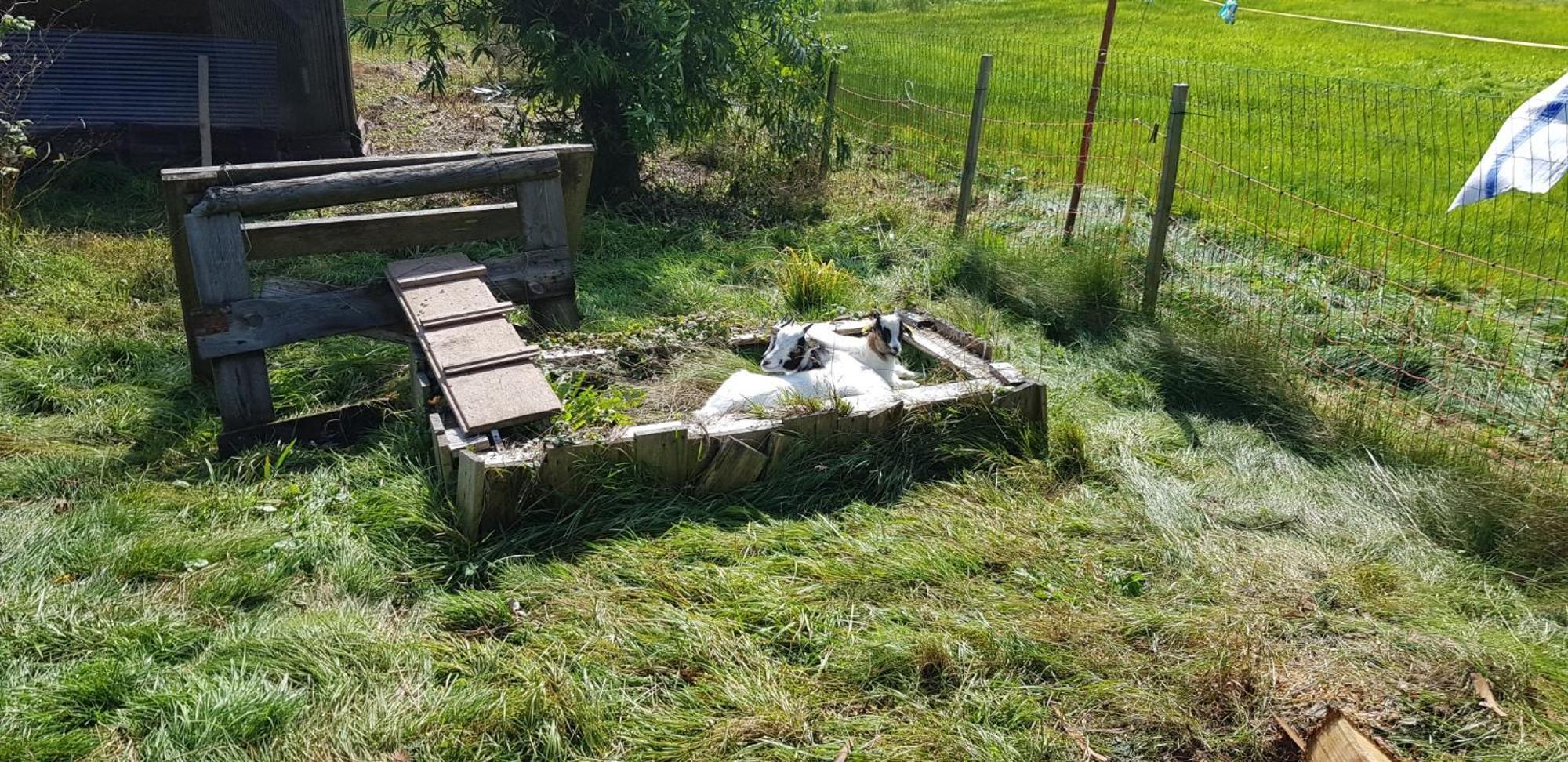 Ferienhof Ziegler- Sonnenschein Baiersbronn Exterior foto