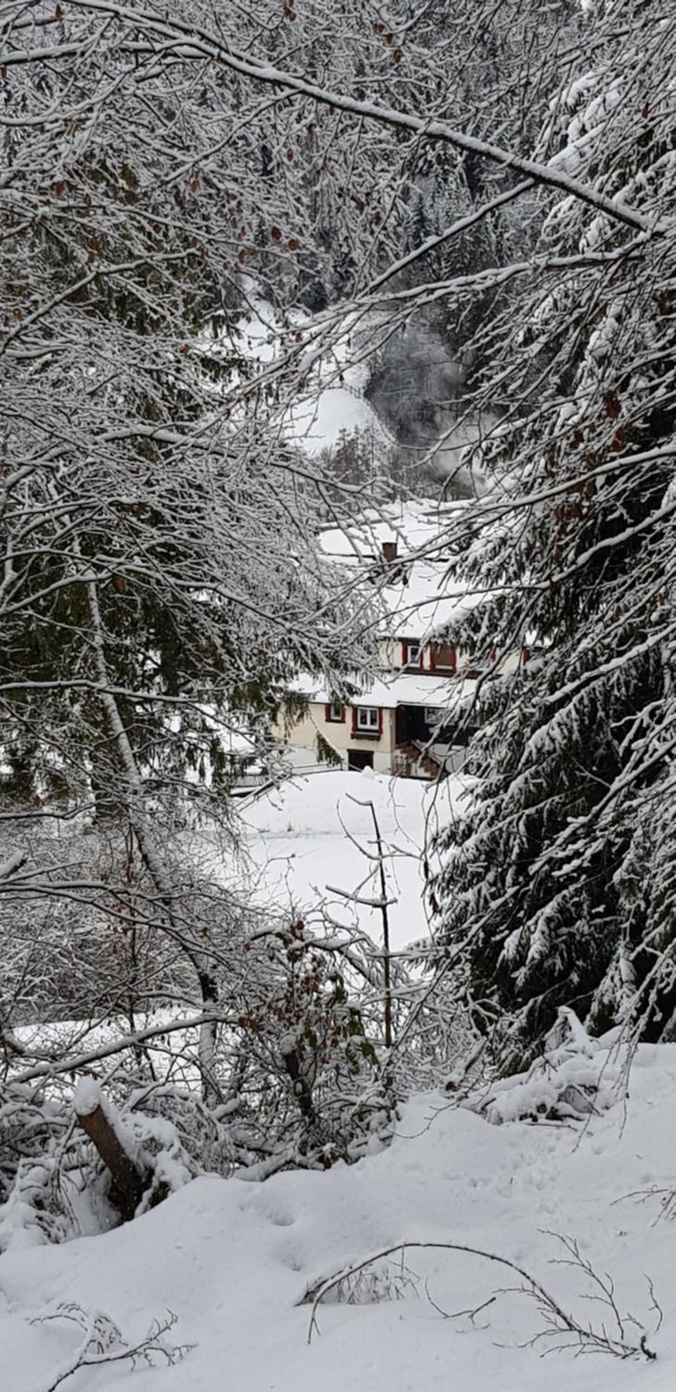 Ferienhof Ziegler- Sonnenschein Baiersbronn Exterior foto